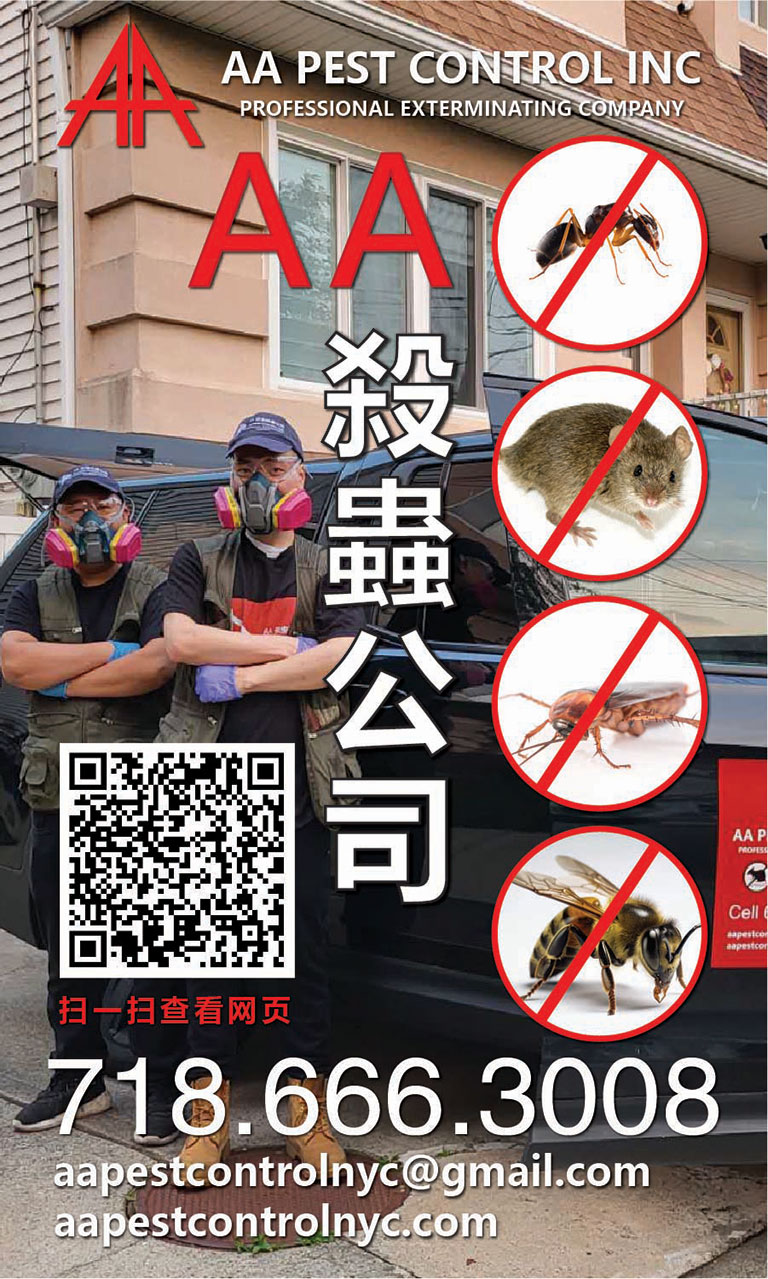 AA杀虫服务现场1